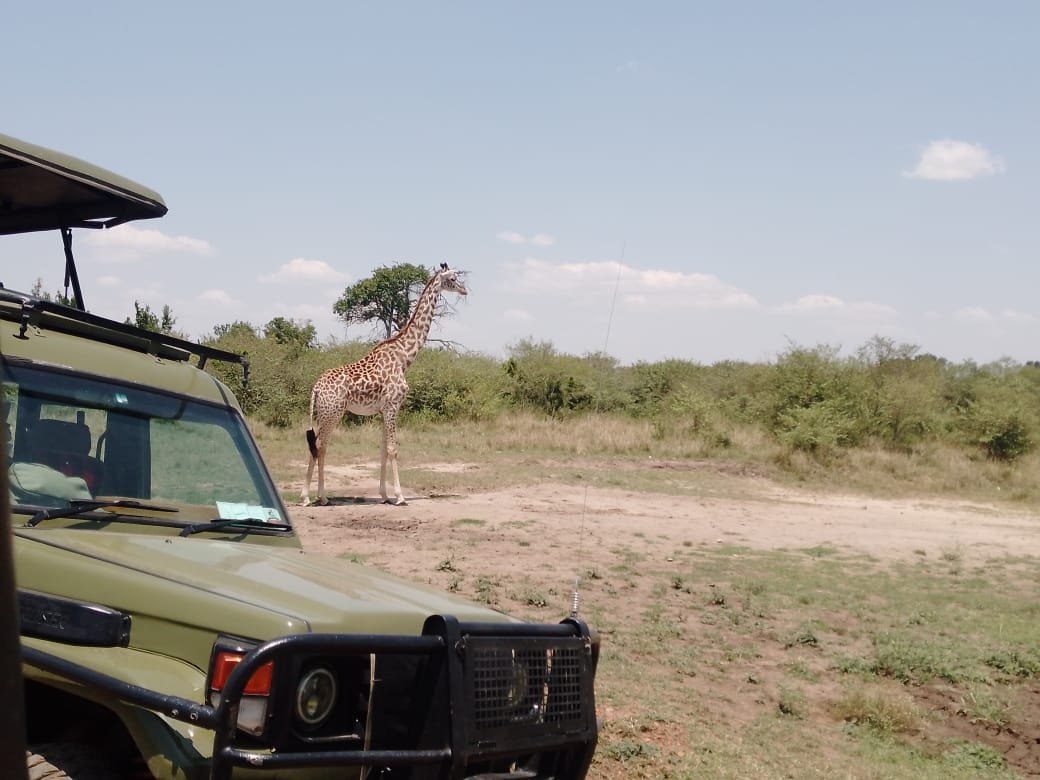 Amboseli